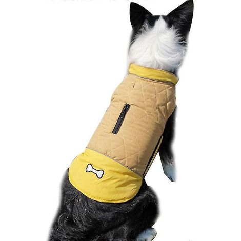 Ropa para perros de otoño e invierno para actividades al aire libre (1/5)