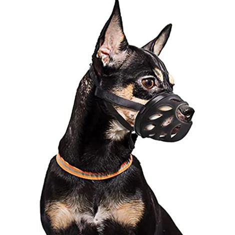Filiyano-Muselière pour chien, panier respirant pour empêcher les aboiements, les morsures et les mâchonnements, muselière humaine pour chiens de (1/5)