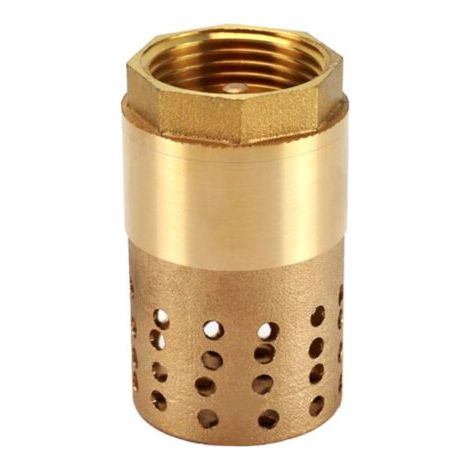 Clapet anti-retour pompe 1 pouce - clapet de pied clapet anti retour (1 pouce) (1/3)