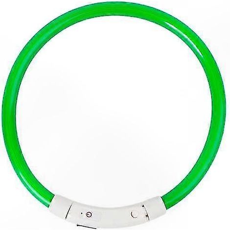 Collier pour chien avec LED clignotante rechargeable USB et lumière de sécurité nocturne (1/5)