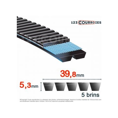 Courroie trapézoïdale polyuréthane Bando Banflex 5-7MS515