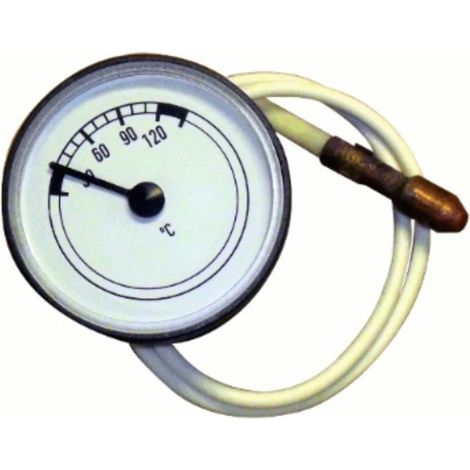Termometro caldera Vaillant 0-120°