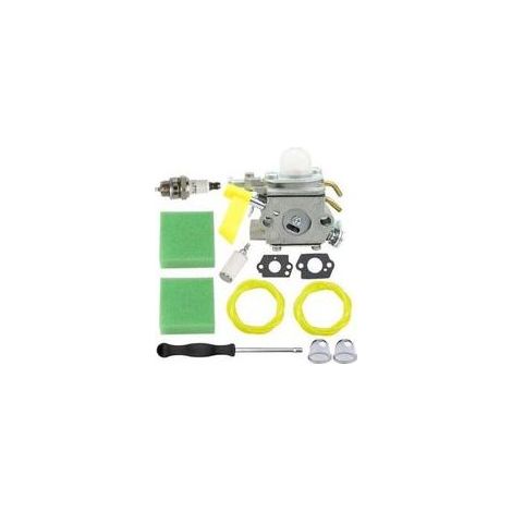 Carburateur Ryobi 308054043 pour débroussailleuses RY28000, RY28020, CS26, RY28040, SS26, RY09053, RY28021, RY28025, RY09056, RY09055, UT33600A, UT33600 et UT33650 (26 cm³, 30 cm³, 25 cm³). (1/4)