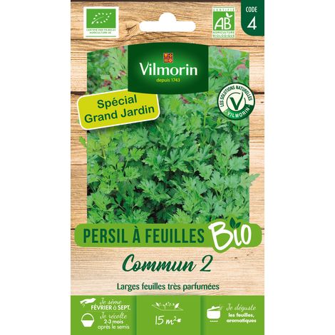 Persil Commun 2 - BIO - Grand Modèle Vilmorin (1/2)
