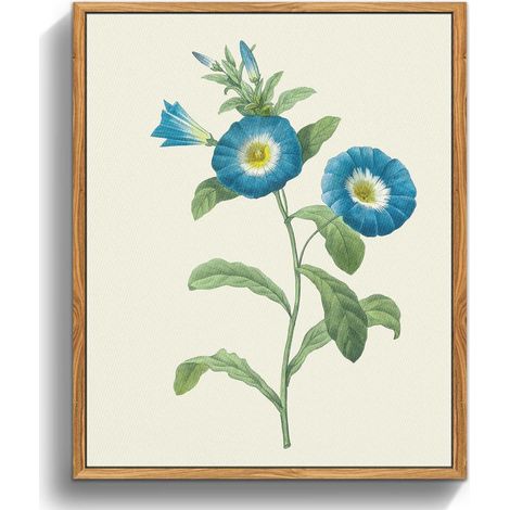 Vintage Insekten Leinwand Bild mit Rahmen Holz 30x40 cm Wandbild Wohnzimmer (1/5)