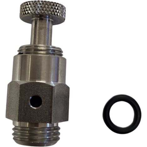 Purge d'Air INOX Jupiter/Galatic/Titan NM (s'adapte au 101D014-I) - Remplace 101D001-L (SNTE) - Fluidra