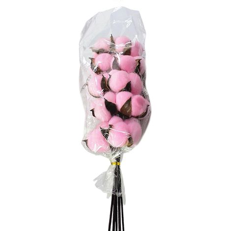 10 tiges de véritables fleurs de coton séchées composition florale idéale pour un mariage une décoration champêtre ou un cadeau. Rose. (1/3)