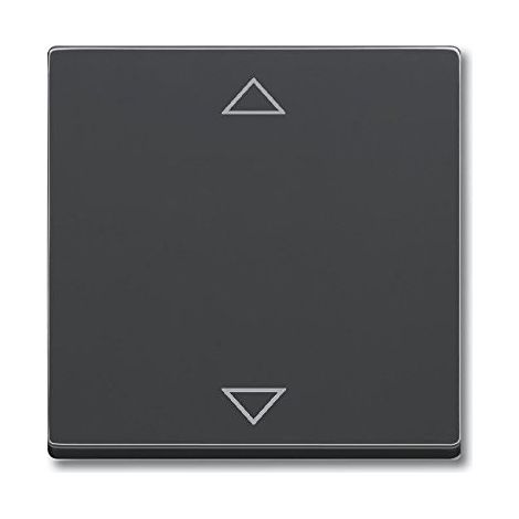 Busch-Jaeger Busch-Jalousiecontrol® II Elemento di comando con simbolo stampato "Frecce" per tenda 1 volta nero opaco - Piattaforma 63 (6430-885-102), 2CKA006430A0386