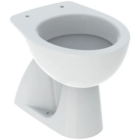 Vaso a pavimento 39x53 bianco lucido - Geberit Colibrì - Con copri wc Standard