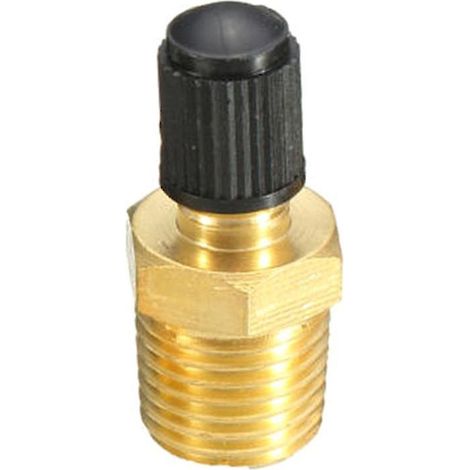1/4" Npt Tank Valve Anti-corrosion Brass Schrader Valve With 1/4" Male Npt (1/5)