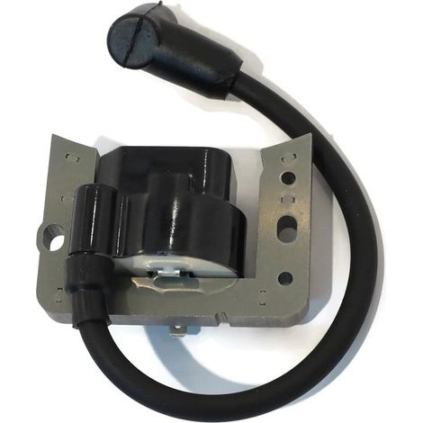 Bobine d'allumage Compatible with Tecumseh 34443 34443A 34443B 34443C 34443D compatible avec LEV115 LEV120 LV148A LV195EA OVRM105 OVRM120 Eigine (1/5)