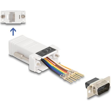 Delock D-Sub macho de 9 pines a RJ45 hembra, kit de montaje blanco