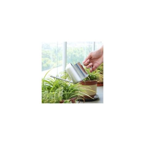 Gießkanne aus Edelstahl mit langem Ausguss, kleine Gießkanne, geeignet für Sukkulenten und Blumen, für den Innen- und Außenbereich - Crezuo (1/4)