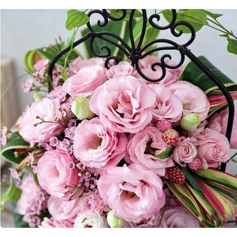 2500 graines de lisianthus rose - Variété florale originale, facile à cultiver, idéal pour jardin, pots et balcons (1/5)