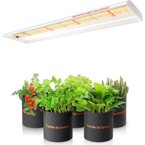 Spider Farmer SF300 33W LED Pflanzenlampe für Setzlinge, Gemüse, Pflanzen Blumen (1/5)