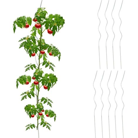 set di 10 aste a spirale Pomodori