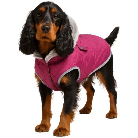 Nobby Hundemantel Polar violett (1/3)