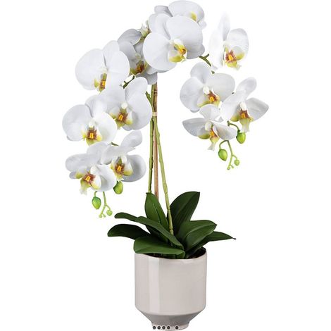 Orchidée phalenopsis artificielle en pot céramique H 60 cm crème