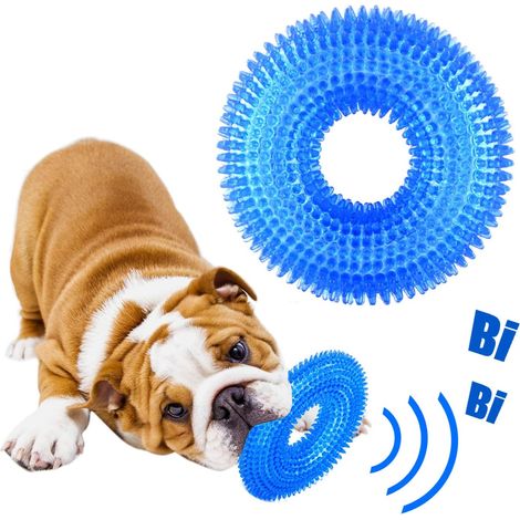 Hundespielzeug, Quietschspielzeug für Hunde, langlebiges Kauspielzeug für Hunde, Wasserpoolspielzeug für kleine Hunde, Hundespielzeug für Langeweile, Zahnreinigung, Naturkautschuk, Blau (1/5)