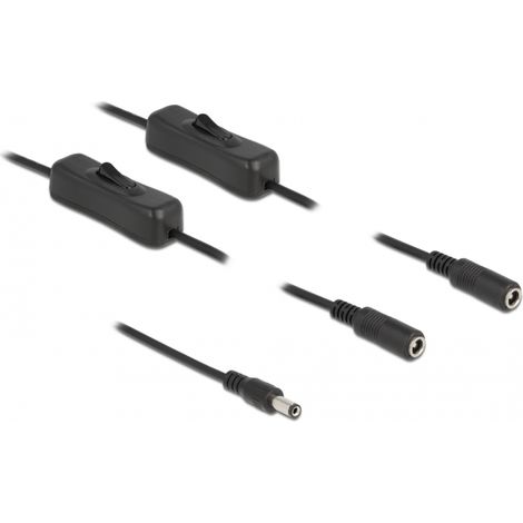 Delock Cable CC 5,5 x 2,1 mm macho a 2 x CC hembra con interruptor 1 m