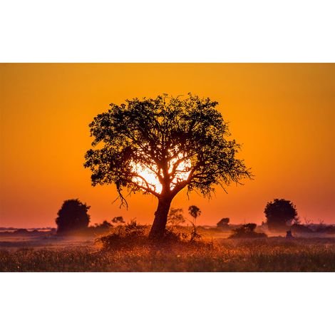 Affiche cache cache et coucher de soleil - 60x40cm - made in France (1/5)
