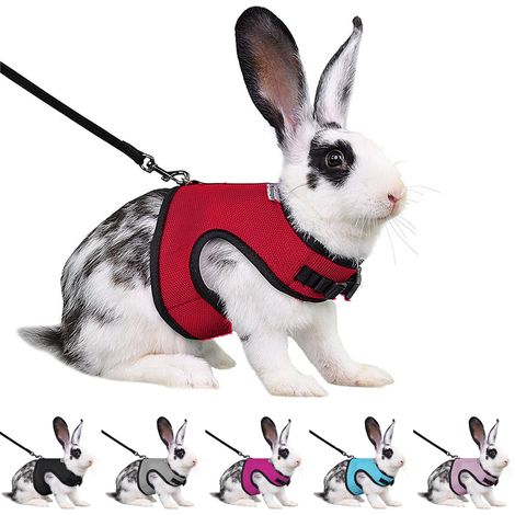 Harnais avec clochette pour petits animaux, gilet rembourré anti-traction avec laisse, pour lapin, furet, rat et cochon d'Inde (1/5)