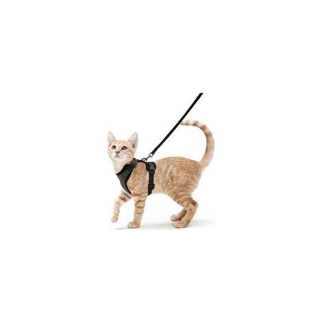 Harnais pour chat laisse pour petit chien harnais pour chaton réglable noir xs, avec caractéristiques : Réglable