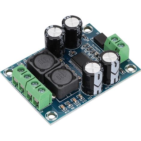 Carte Amplificateur Audio Numérique Mini TPA3118 Mono 60W - Module Ampli Puissant (1/5)