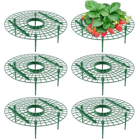 Protection pour fraises et légumes - Lot de 6 supports - Supports en plastique vert pour fraises - Pour la culture des fraises, des orchidées et des légumes (1/5)