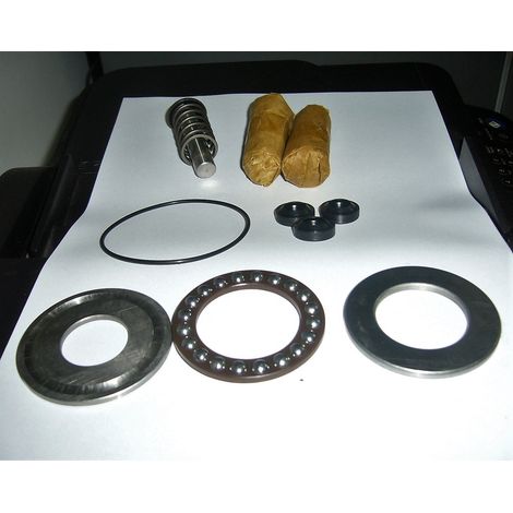 KIT PISTONI MOLLE CUSCINETTI TENUTE OLIO POMPA IDROPULITRICE ANNOVI 586 3441460