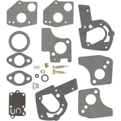Kit de réparation de carburateur compatible avec Briggs & Stratton 494624 495606 130202 130293. (1/4)