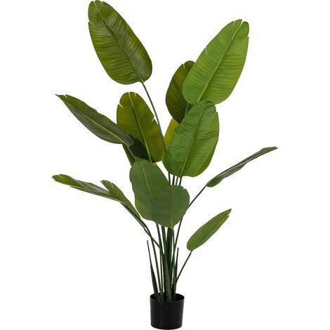Sterlitzia decorativa artificial verde 80x80x180 (1/5)
