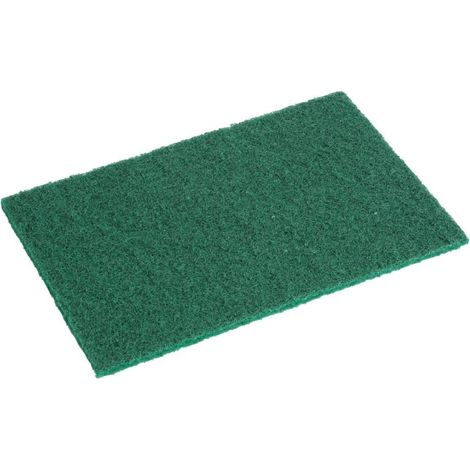 Grands tampons à récurer verts (lot de 10) - JANTEX (1/5)