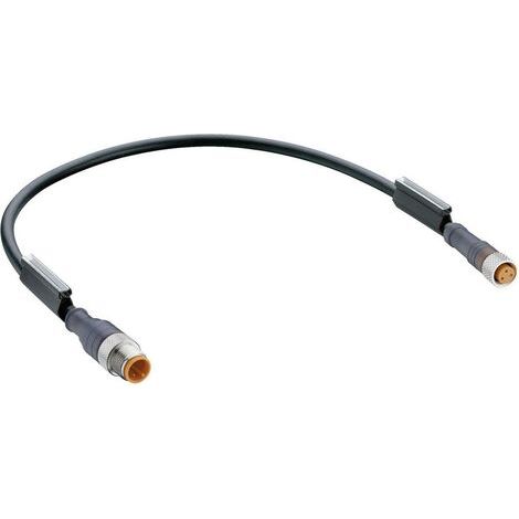 Connecteur confectionné pour capteurs/actionneurs M8 Lumberg Automation RST 3-RKMV 3-224/1M-1 mâle, droit, femelle, dro (1/2)