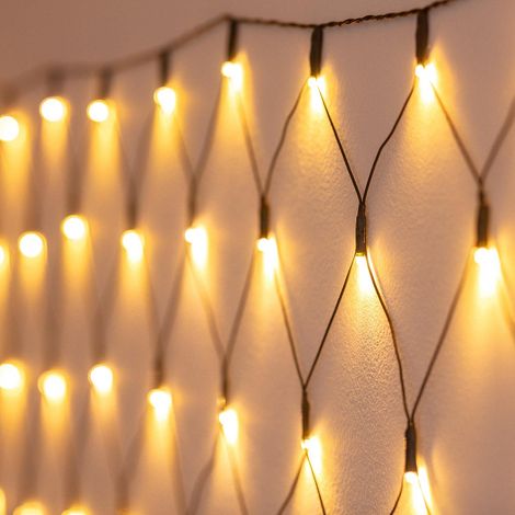 Extension Filet Lumineux 160 LEDs Blanc Extra Chaud 2x1 m (1/5)