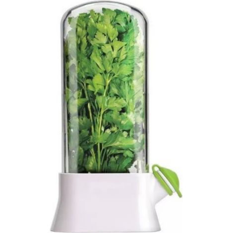 Pot conservateur pour herbes aromatiques frais, bac de stockage hydratant en plastique alimentaire pour persil basilic menthe en cuisine (1/5)