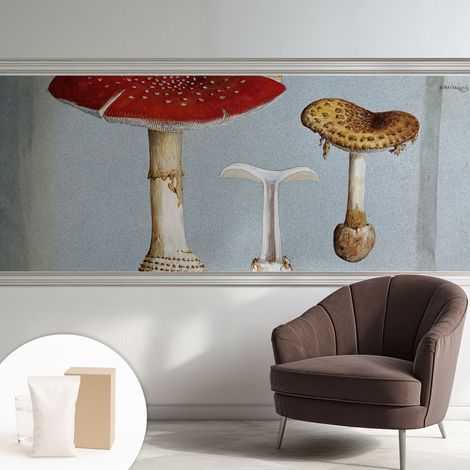 Papier peint intissé classique moderne pour salon et chambre à coucher Décoration rapide avec colle Gravures de champignons 250x104 cm (1/5)