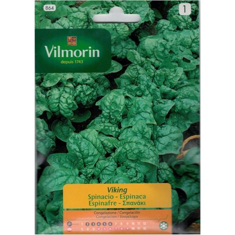 Vilmorin 15G Vilmorin -Spinatsamen