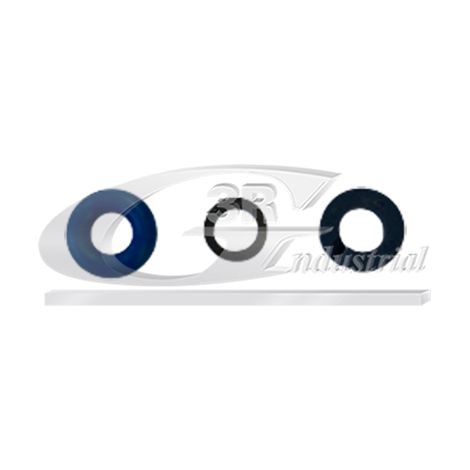 3RG 83765 KIT INYECCION GASOLINA (3PCS)
