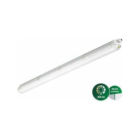 Philips CoreLine WT120C LED-Leuchte, 32W, 4000K, IP65, IK08, 50019899