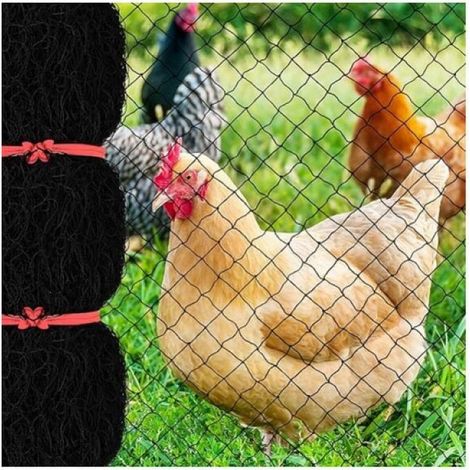 Filet anti-oiseaux 7,6 x 15,2 m – Maille carrée 2,5 cm en nylon – Protection contre cerfs et petits animaux – Réutilisable pour vergers (1/5)