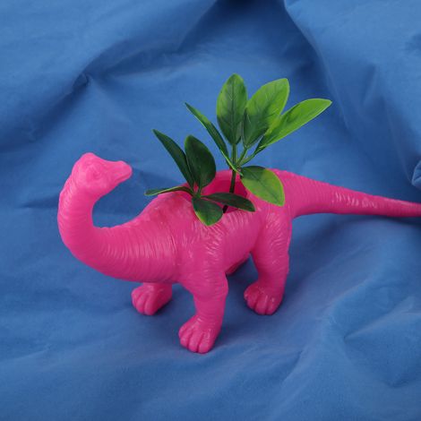 Pot de fleurs dinosaure pour cactus et plantes succulentes - Décoration de jardin (rose rouge) (1/5)