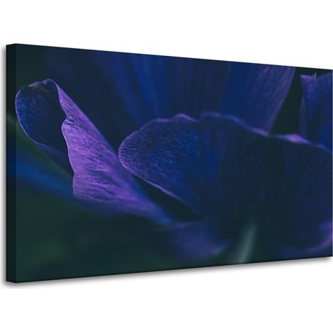 Leinwanddruck Botanik Lila Blütenblätter 100x60