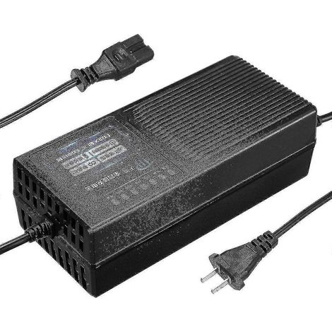 Chargeur de voiture électrique 48 V 20 Ah avec protection contre les fuites de courant - Subaoe-QH (1/5)