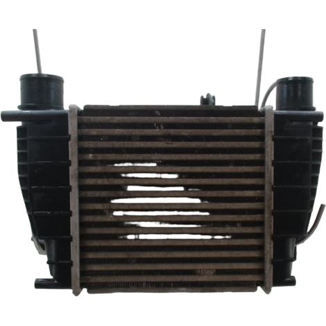 Echangeur Air RENAULT Clio III Phase 2 2009-2014 [PRODUIT D'OCCASION]♻️8200471888 (1/5)
