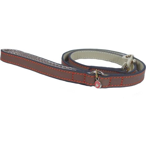 Laisse en Cuir Marron pour Chien (1/2)