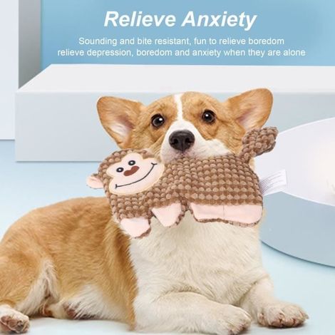 Jouet en peluche - FYDUN - LT020 - Soulagement de l\'anxiété - Nettoyage des dents - Amusant cliquetis (1/4)