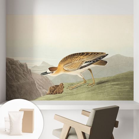 Carta Da Parati Non Tessuto - Con Colla Inclusa per Camera da Letto - Facile da Applica - Motivo decorativo Uccello di montagna 104x70 cm (1/5)
