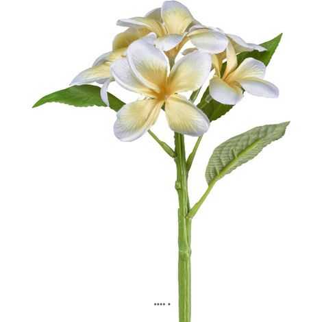 Frangipanier artificiel Jaune-Crème en branche fleurie H 28 cm (1/3)