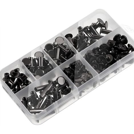 Kit de Vis à Bouton Chicago pour Travail du Cuir DIY - 6 Tailles - 150 Vis Argent (1/4)
